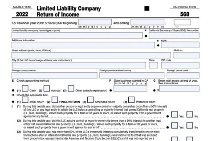 Can Form 568 be Efiled?