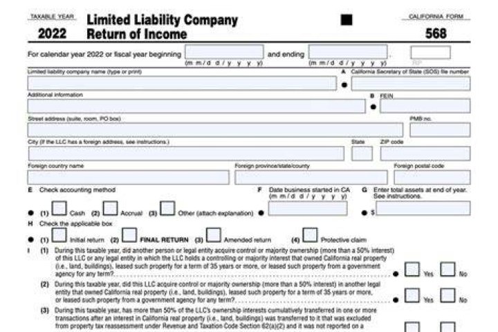 Can I file form 568 online?