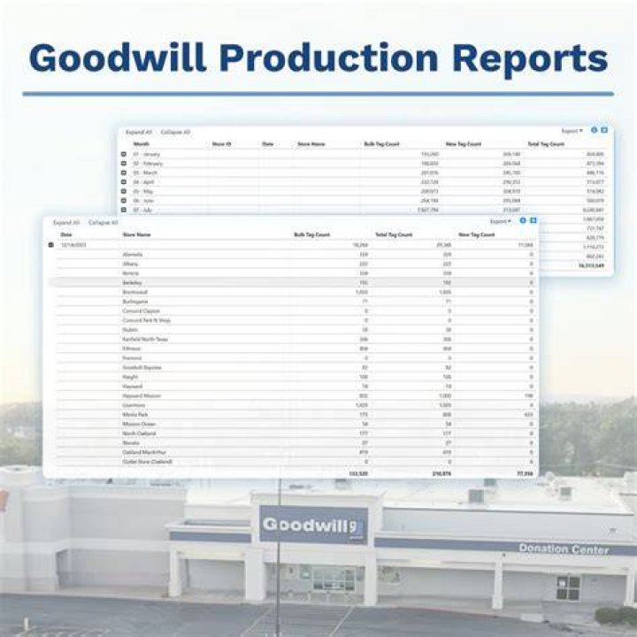 How to report the sale of goodwill created upon the purchase?