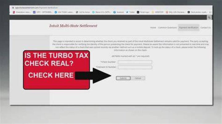 Is it a Turbo Tax problem or user error?