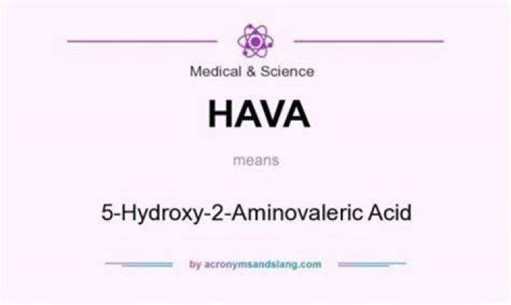 What does HAVA stand for?