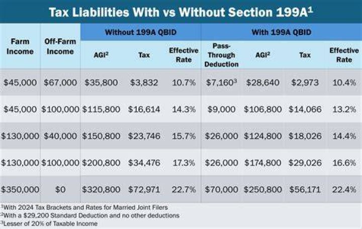 What is 199A income TurboTax?